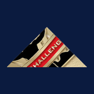 #prchallenge fragment of medal